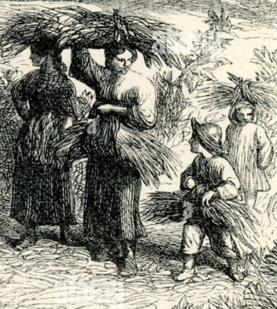 An illustrated talk by local historian Liz Woolley